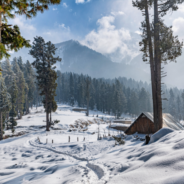 Kashmir Summer Offbeat